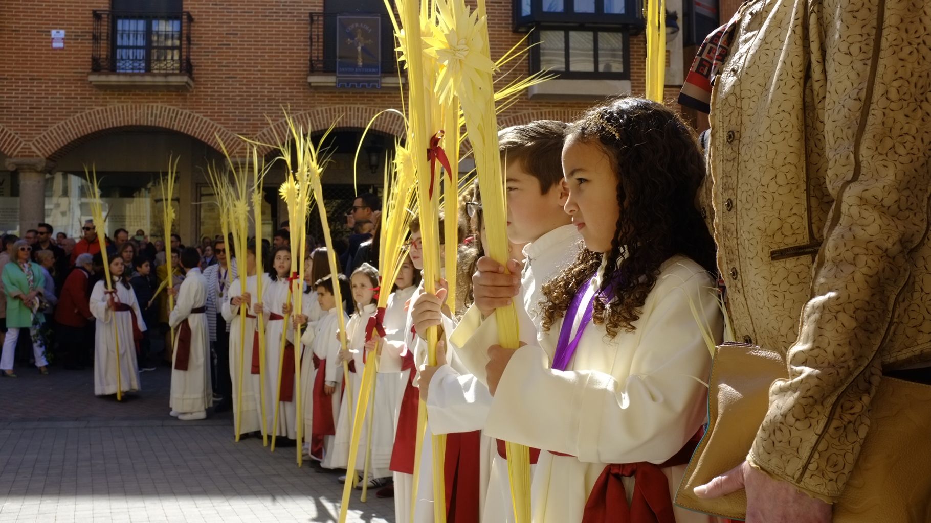 GALERÍA | Procesión del Domingo de Ramos en Benavente