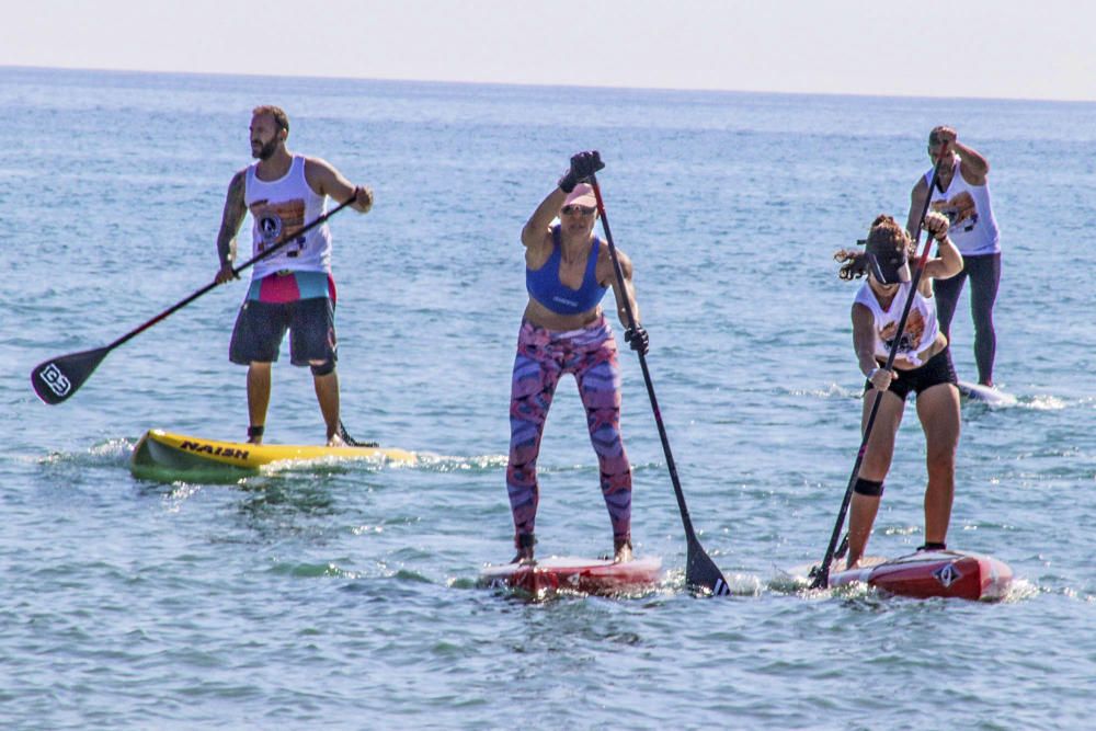 Campeonato de Paddle Surf en Torrevieja