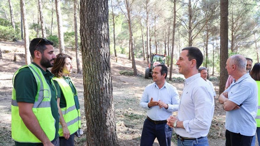 Mallorca refuerza la prevención de incendios con limpiezas forestales en 18 municipios de la Tramuntana