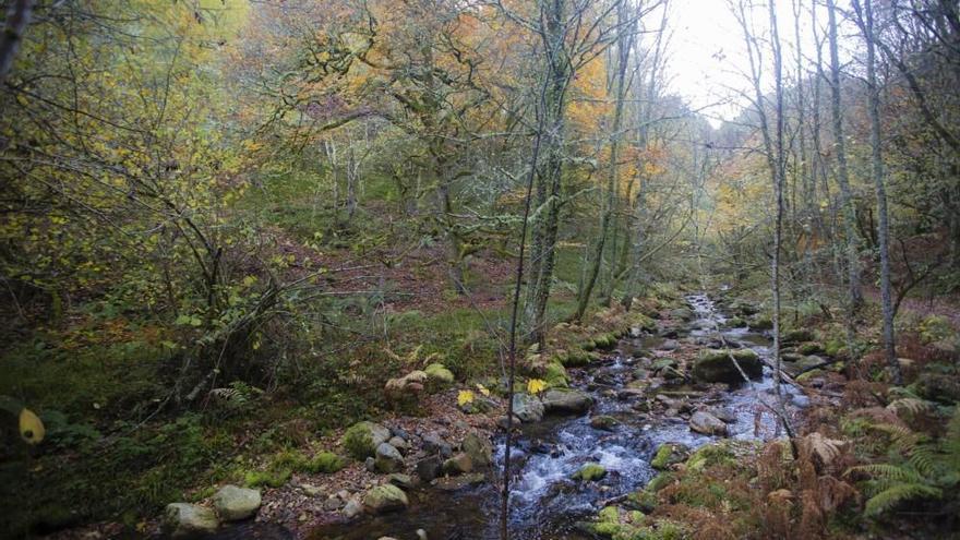 Las 100 fotos que demuestran que el otoño es la mejor época para conocer Asturias