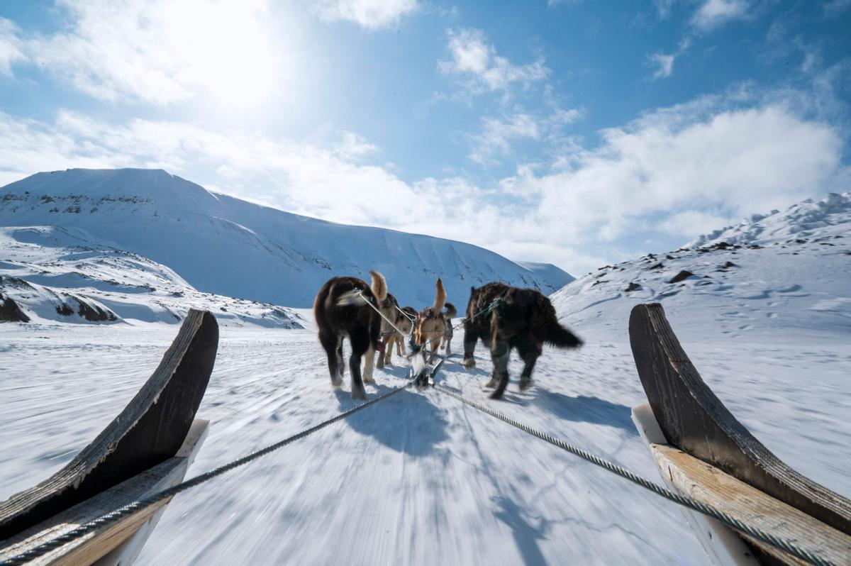 Un trineo de perros realiza un tour por el valle de Bolterdalen, en Nordenskiold Land (isla de Spitsbergen)