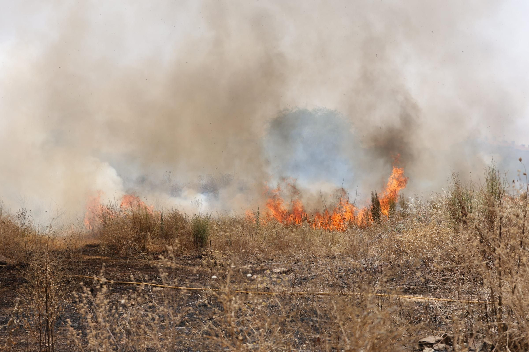El Incendio en el Cerro de los Pinos, en imágenes