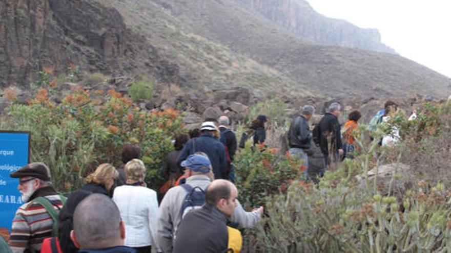 Gran Canaria recibe la primavera desde la necrópolis de Arteara