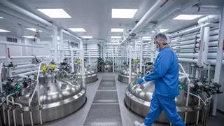 La primera vacuna contra la enfermedad hemorrágica de las vacas sale de un laboratorio en Galicia