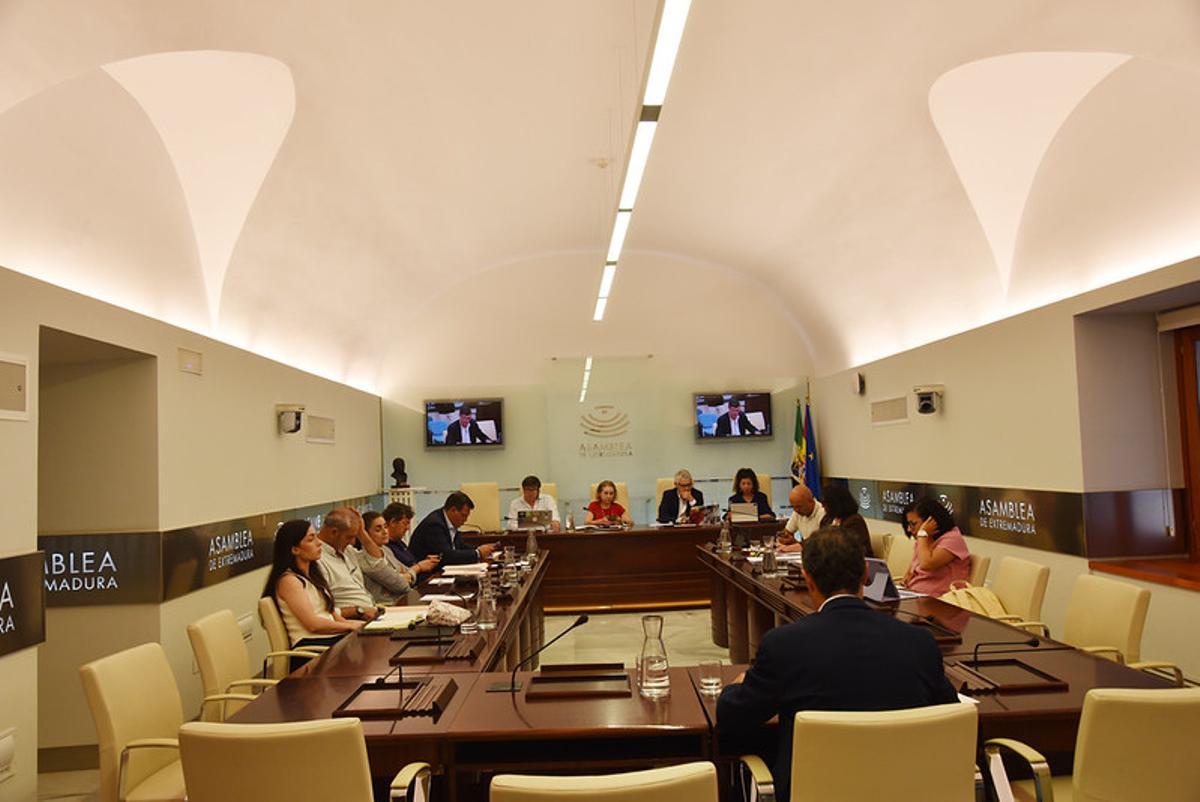 Un momento de la Comisión de Infraestructuras, Transporte y Vivienda de la Asamblea.