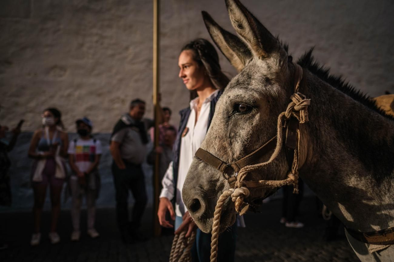 Noche de los Burros en La Laguna, julio de 2022