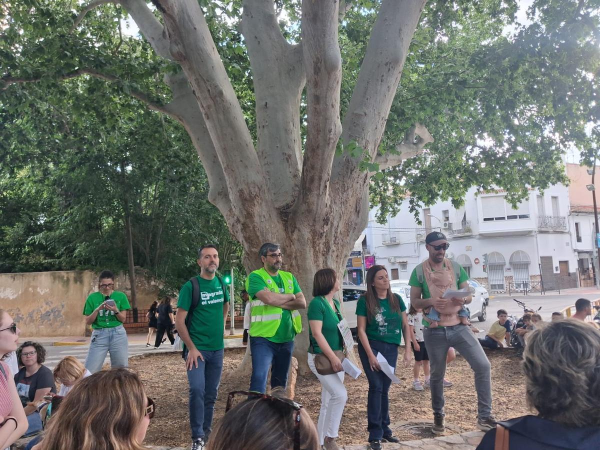 Lectura del manifiesto de los docentes en la marcha de Canals, junto al árbol de la Lloca.