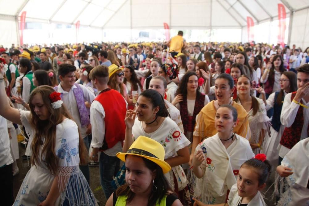 Ambiente en La Repanocha durante el Bando de la Huerta 2018