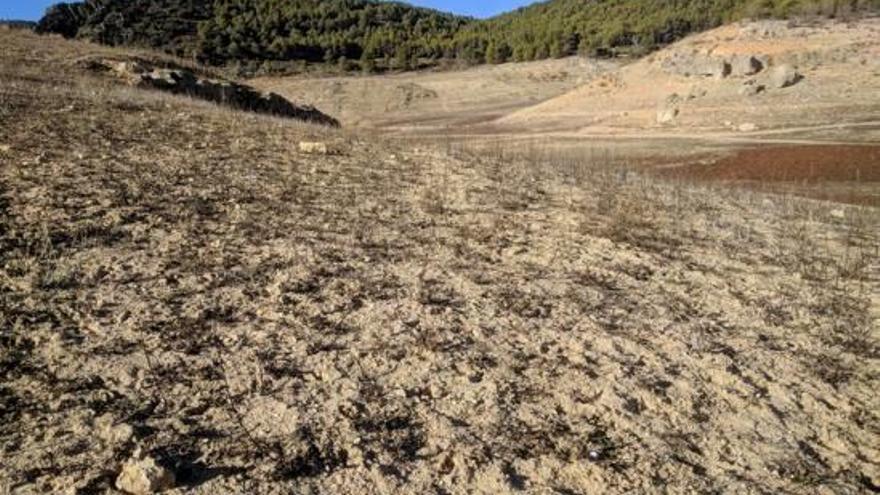 Sequera en una zona rural de Castella-la Manxa.