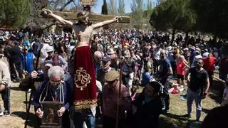 GALERÍA Y VÍDEO | Miles de personas acuden a la romería de Valderrey de Zamora