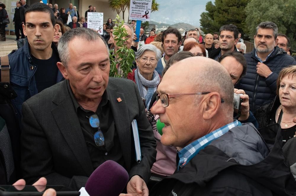 Manifestación por la Xylella en Altea