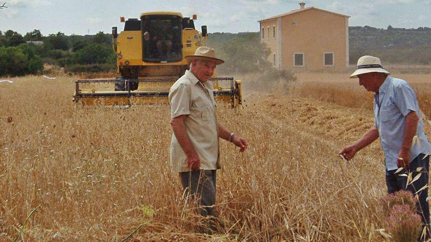 El plan del Govern busca dar visibilidad a la mujer en el campo.