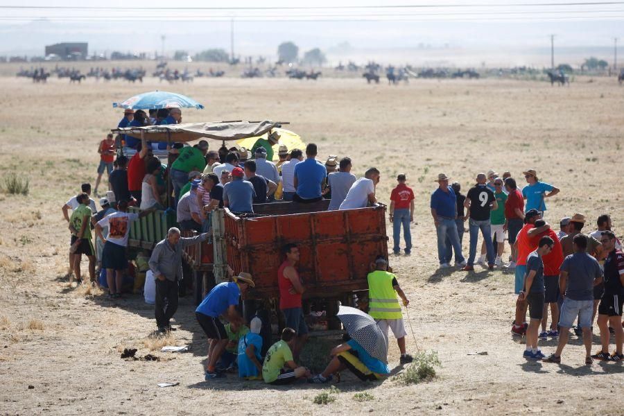 Encierro de campo en Guarrate