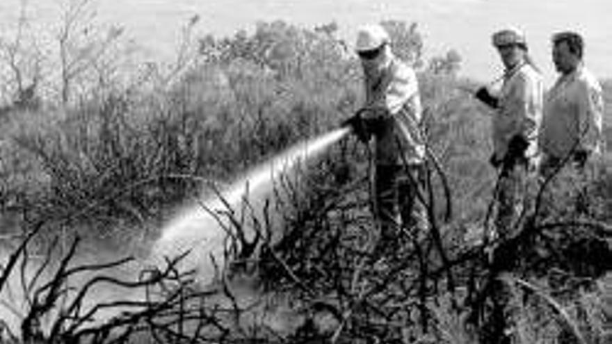 Desarrollo Rural dedica a la lucha contra el fuego la cuarta parte de su presupuesto