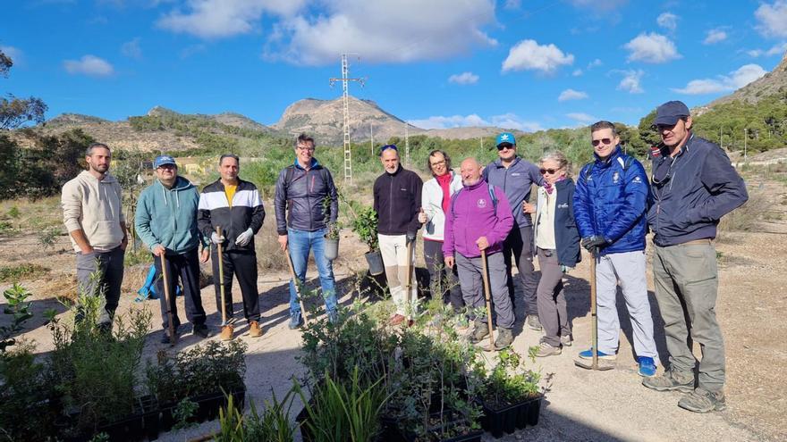 Nueva reforestación en La Algameca tras la pérdida de arbolado por la sequía