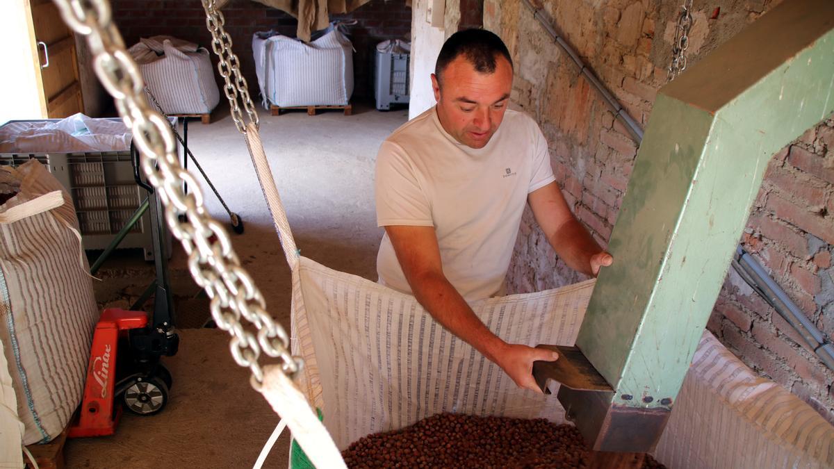 Albert Horta del Mas Pons de Dalt posant les avellanes triades per consum dins d&#039;un sac