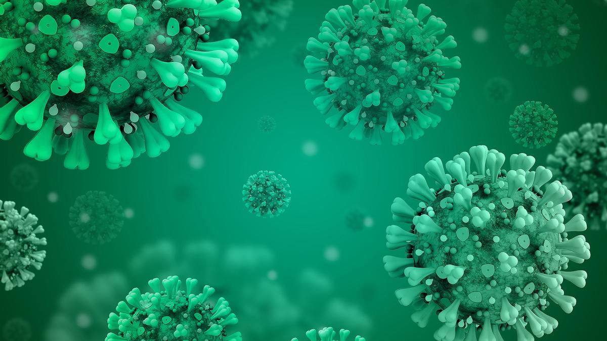 Virus