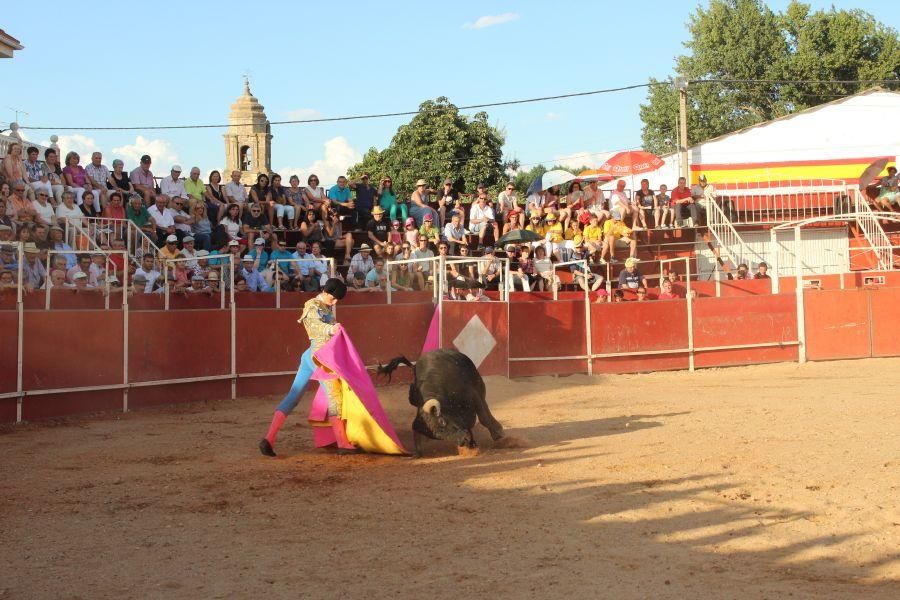 Fiestas en Zamora: Encierro y toros en Villamor