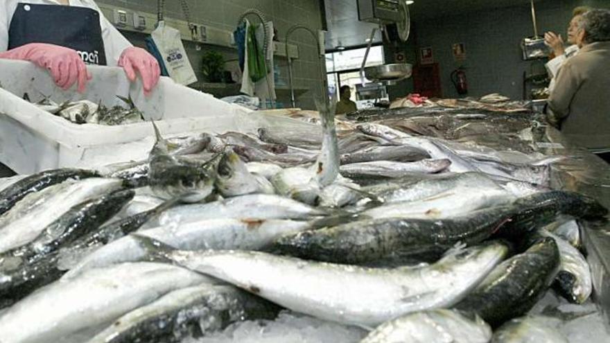 Sardinas en un puesto del mercado de la plaza de Lugo. / casteleiro