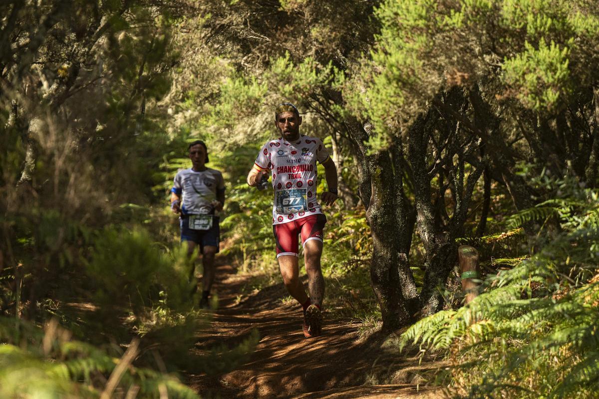 XVI Aguas de Teror Trail
