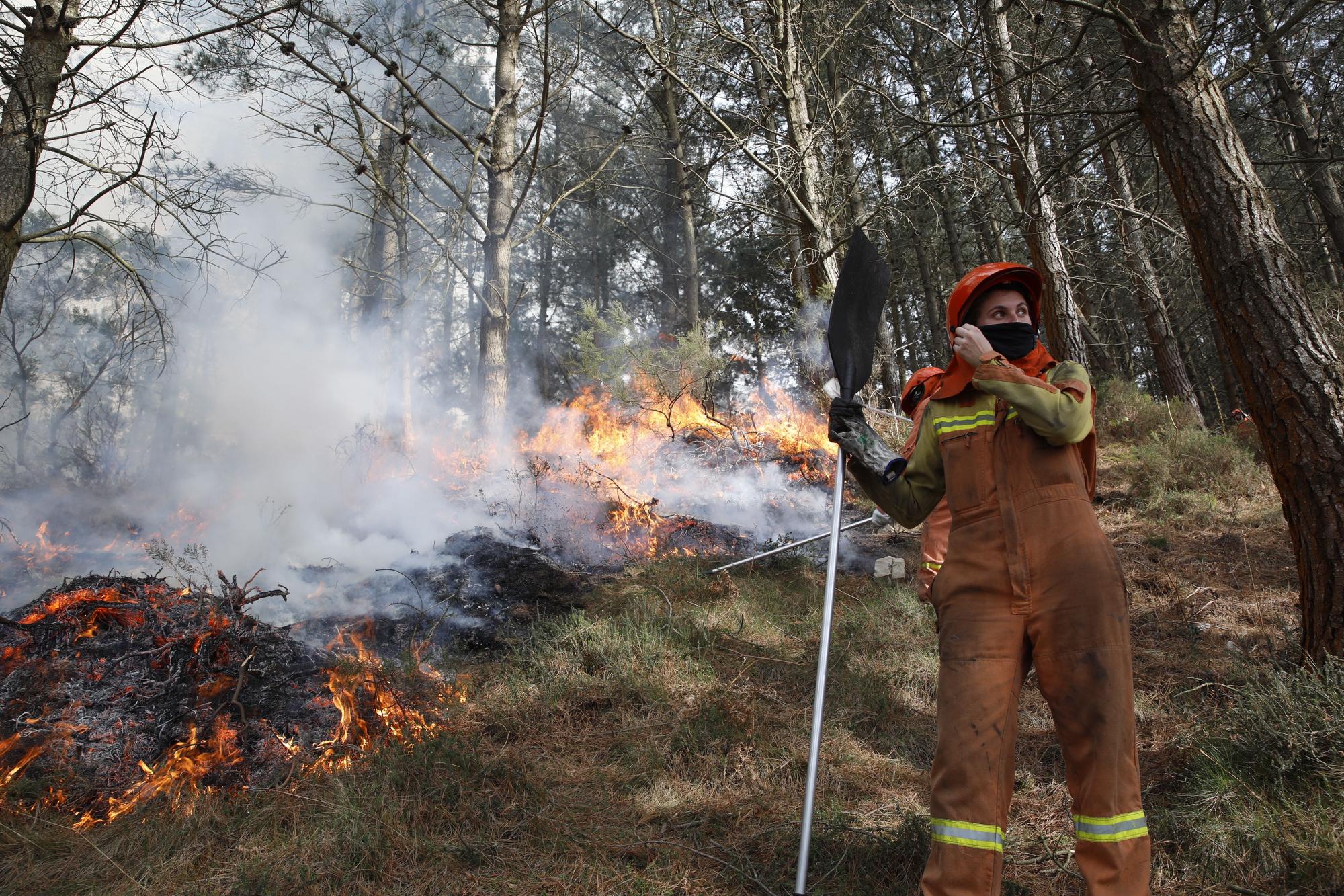 La lucha contra el fuego en el incendio entre Nava y Piloña