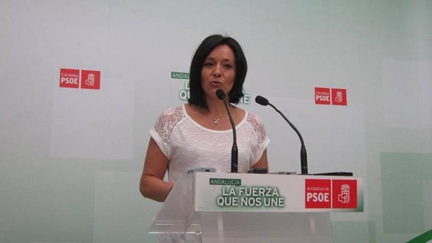 El PSOE rechaza un pacto para la elección directa de alcaldes