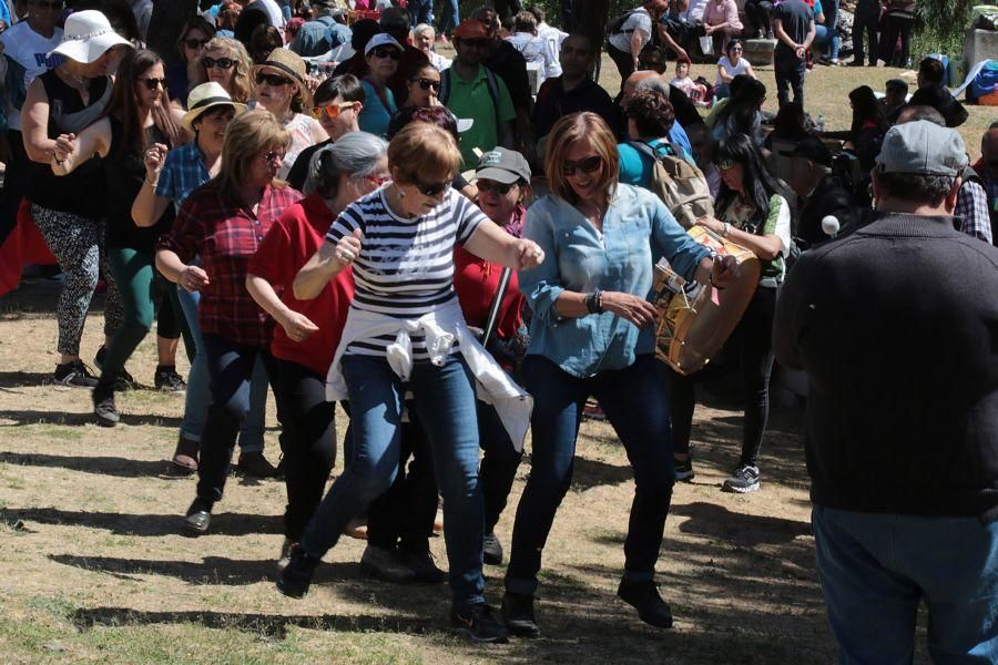 Romería de Valderrey en Zamora