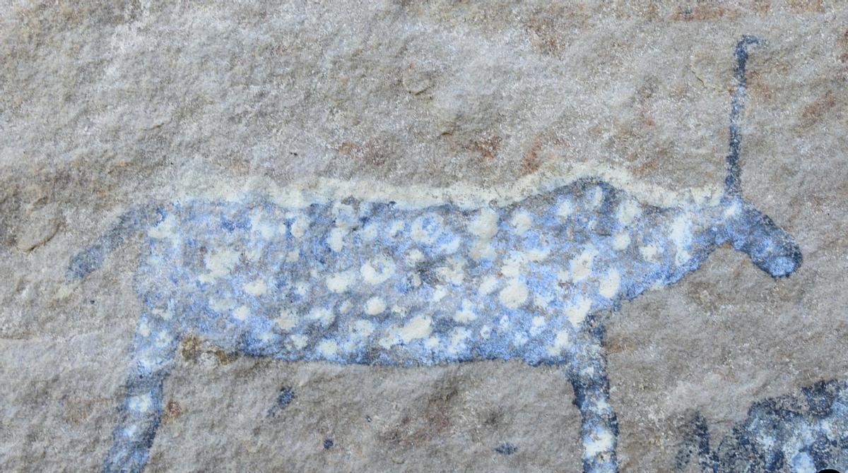 Animal de lluvia de un cuerno procedente de un sitio cerca de Indwe, en la provincia de Eastern Cape de Sudáfrica.