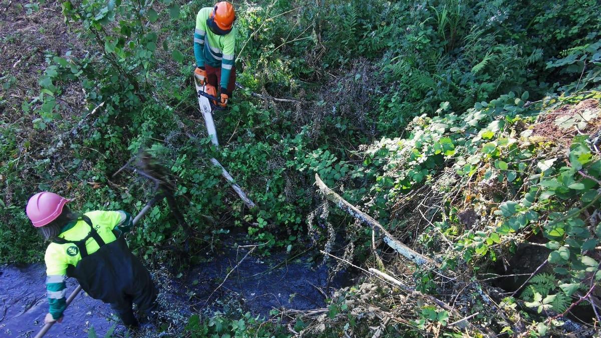 Se busca favorecer el flujo del agua y el estado ecológico del cauce.