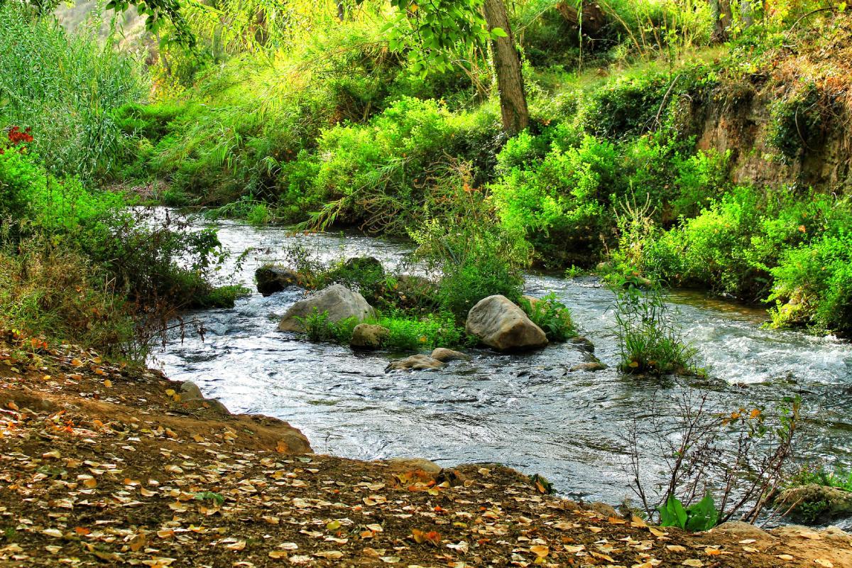 La ruta del agua de Chelva