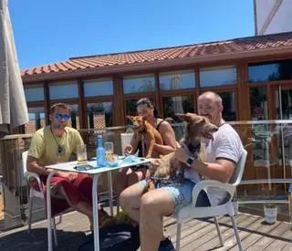 O Salnés aspira a ser el mejor destino 'pet friendly' de España