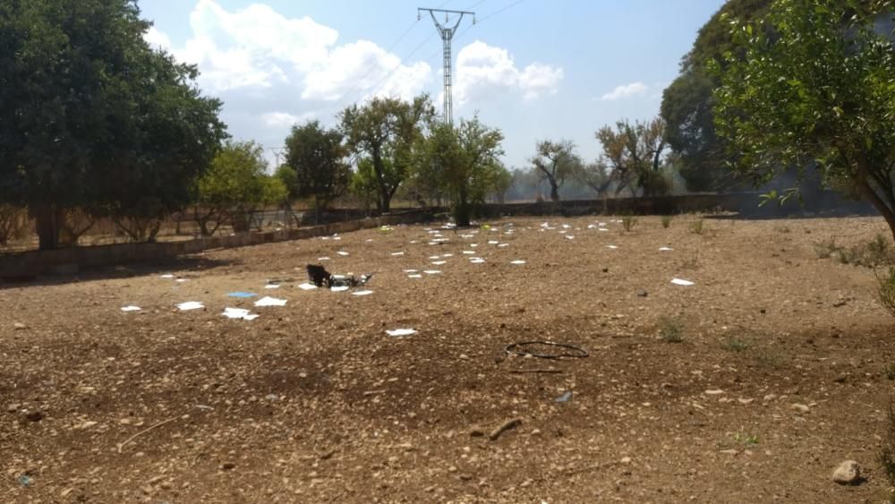 Accidente aéreo en Mallorca