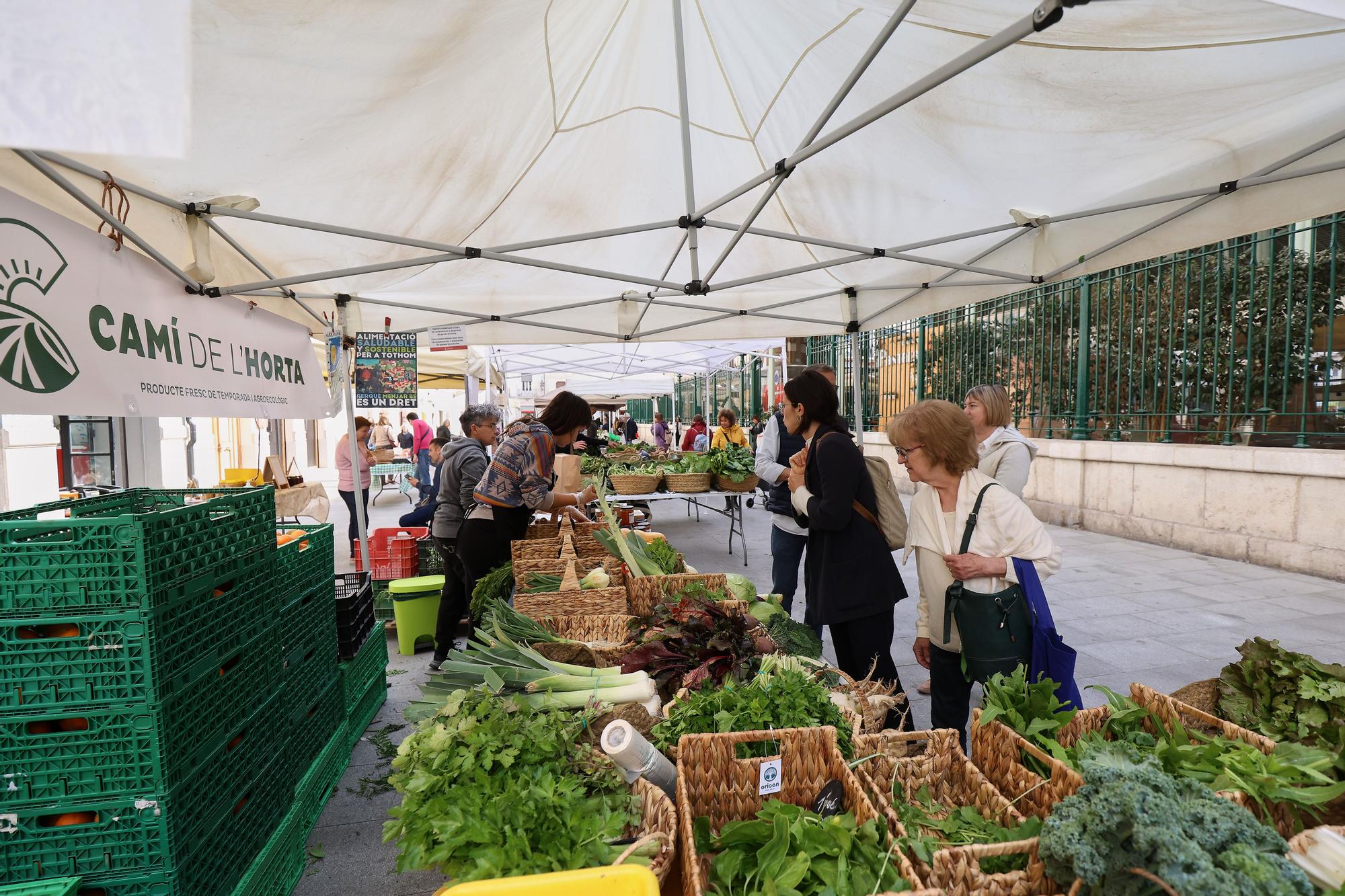 Mercadillo de frutas y verduras de huerta junto al mercado de Colón