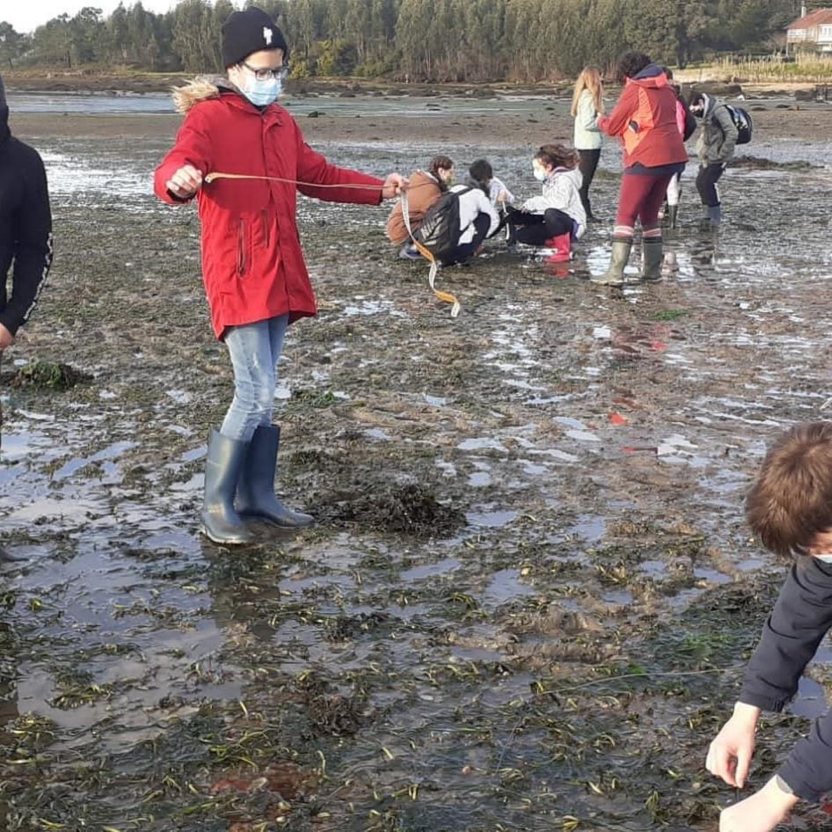 Los alumnos pudieron estudiar las praderas marinas sobre el terreno.