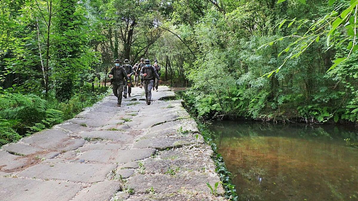 Una patrulla transita por un paraje del Camiño Portugués. |   // BRILAT