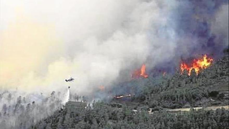5.410 ha han ardido este año en Extremadura