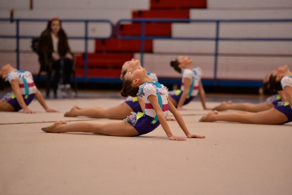 Campeonato Regional de Gimnasia Estética