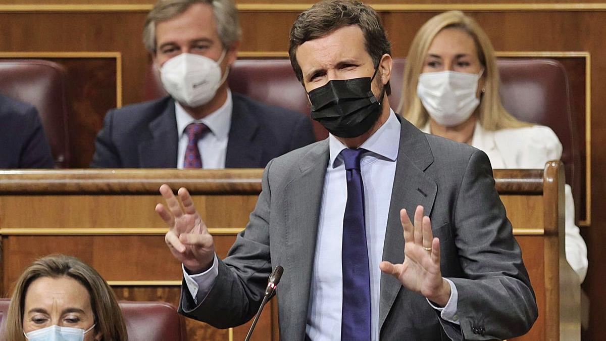 El líder del PP, Pablo Casado