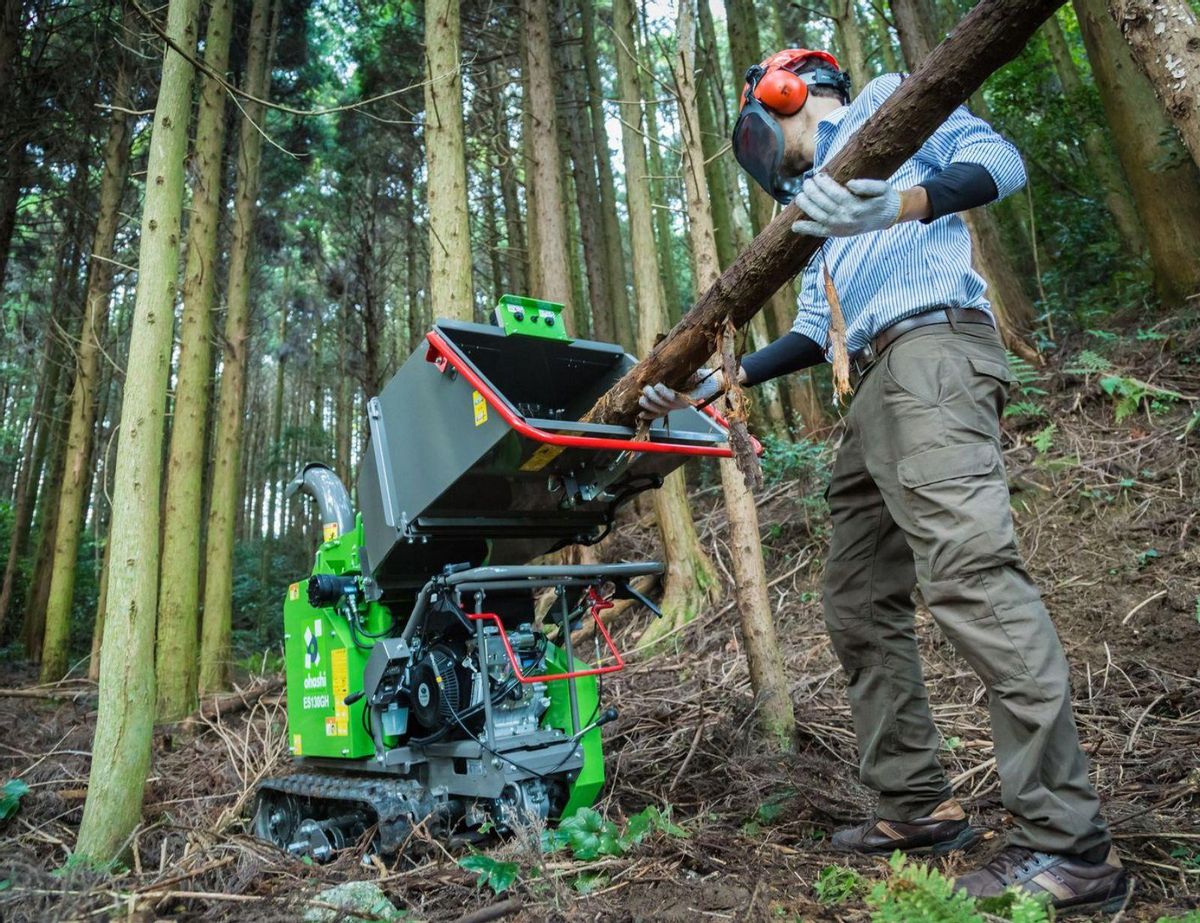 Asistentes a la última edición de Asturforesta.