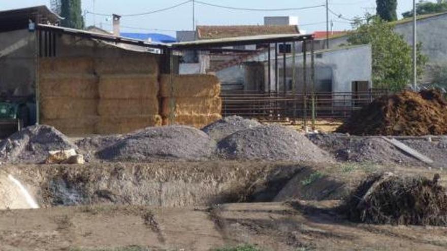 Granja porcina y balsa de purines en primer plano que denuncian los vecinos.