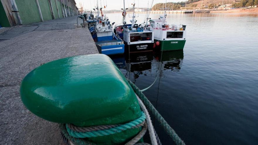 La ciencia da la razón a los pescadores asturianos: la pesca de pincho no es lesiva para el fondo marino