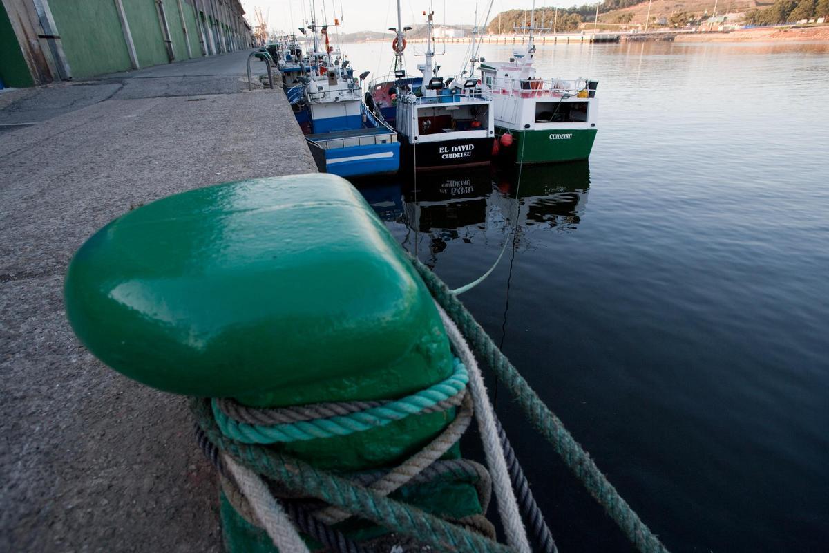 Barcos de palangre amarrados en el puerto de Avilés.