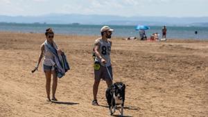 Dos personas pasean un perro por una playa del delta del Ebro. 