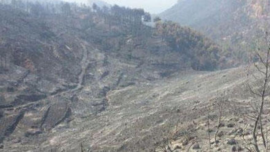 Las primeras consecuencias del incendio ya son visibles en varios puntos, com en el coll de sa Gramola.