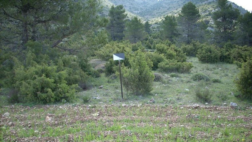 La Comunidad elimina la tasa de matrícula de los cotos de caza y alivia costes al sector