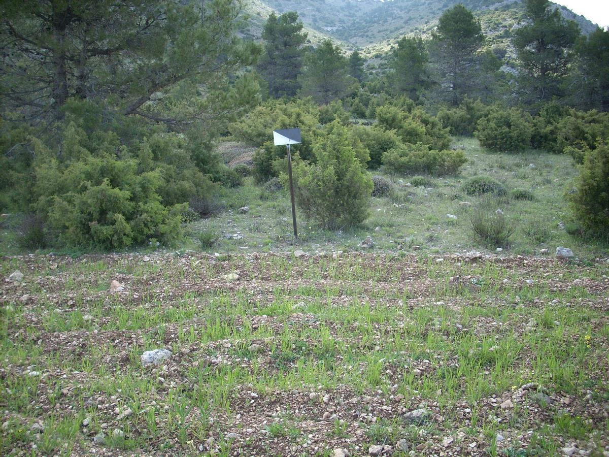 Señalamiento de un coto en la Región de Murcia.