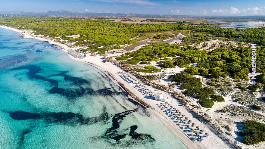 ¿Y la mejor playa de Mallorca?