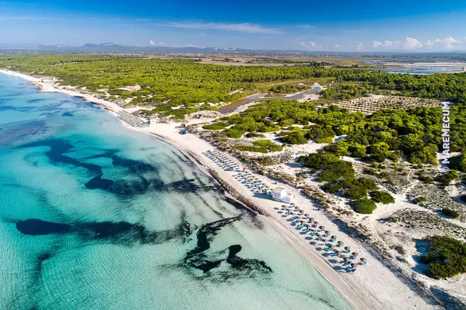 ¿Y la mejor playa de Mallorca?