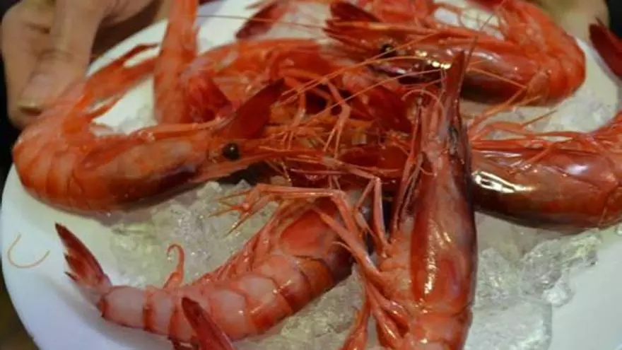 Su señoría Doña gamba roja de Dénia