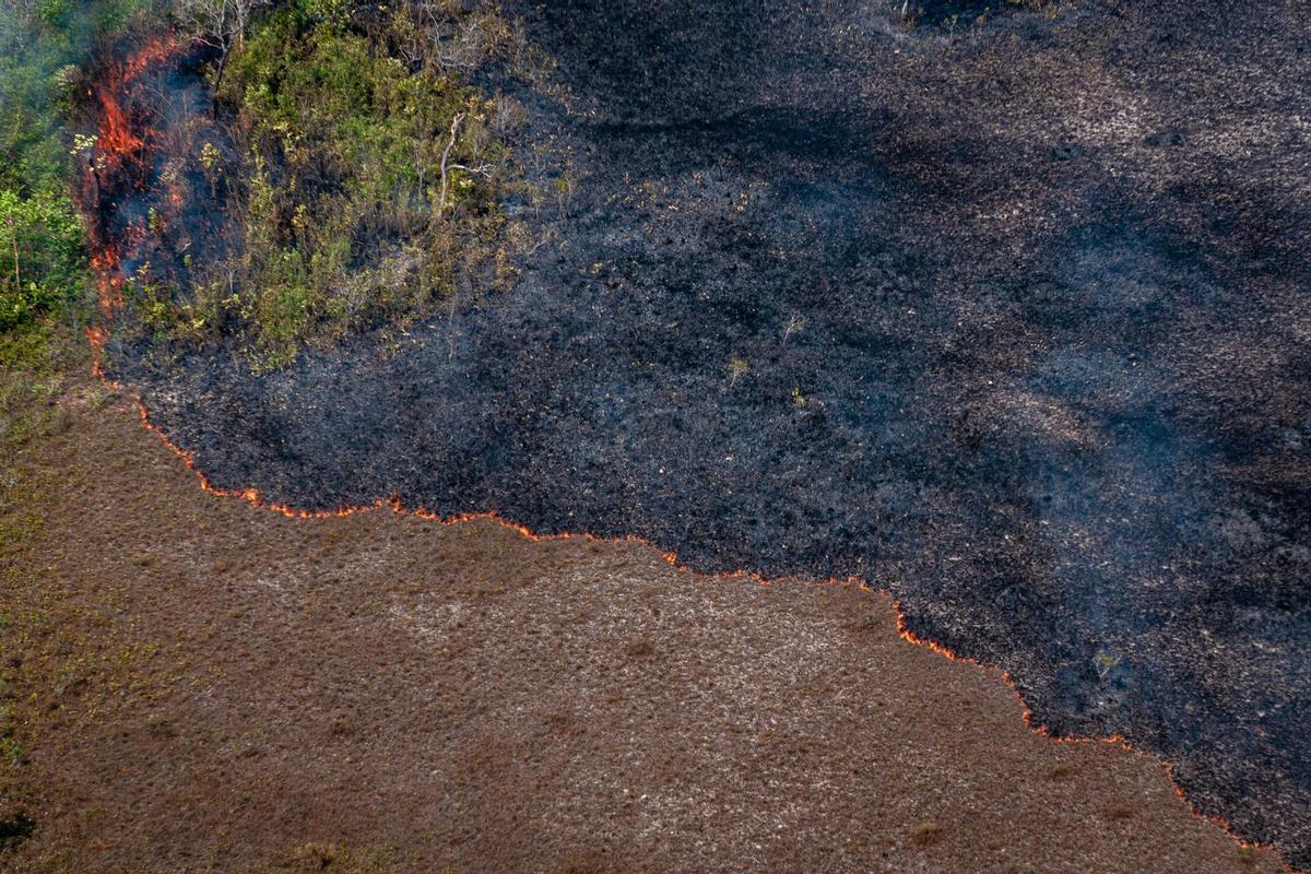 Incendio en el Amazonas brasileño.